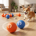Rollo — The Ball That Plays Back