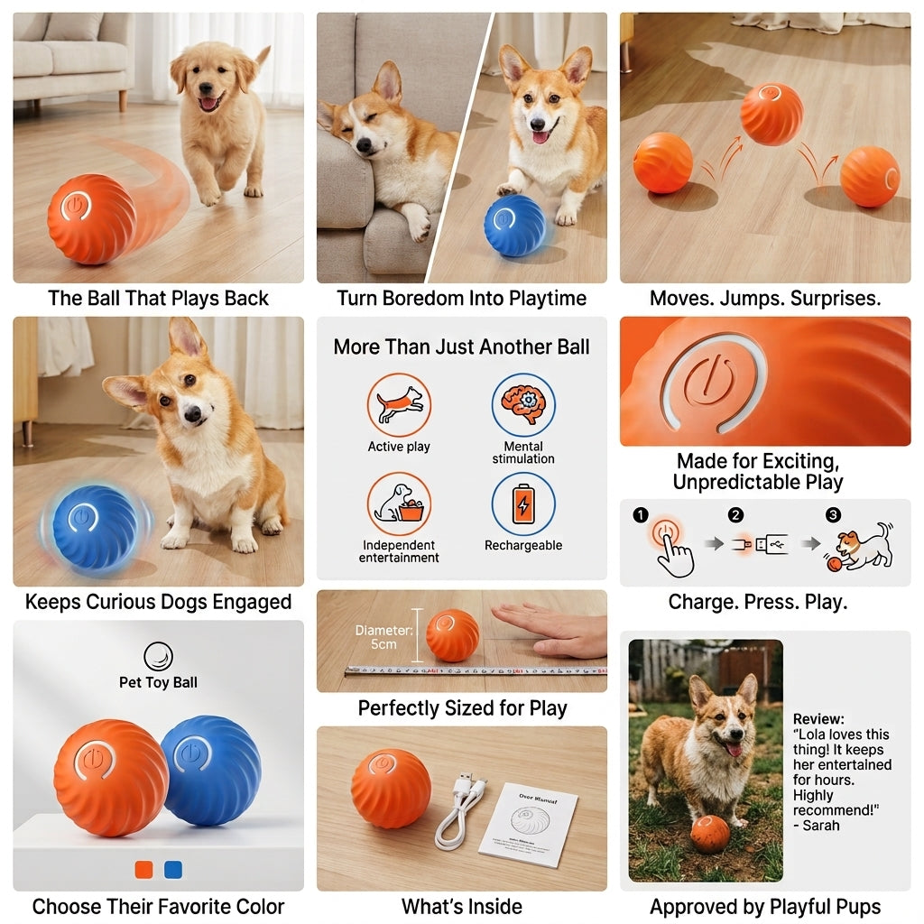 Rollo — The Ball That Plays Back