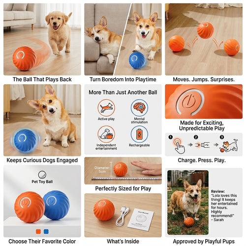 Rollo — The Ball That Plays Back